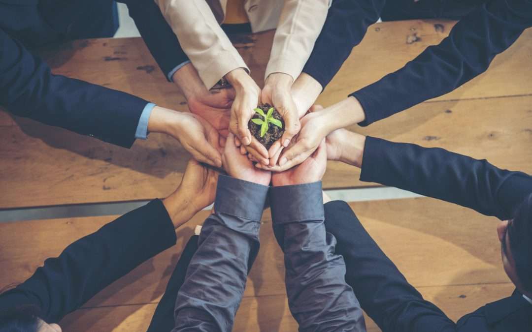 Verplicht pensioen opbouwen als fysiotherapeut